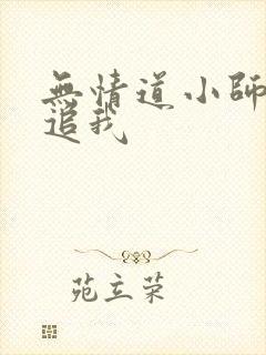 无情道小师弟倒追我