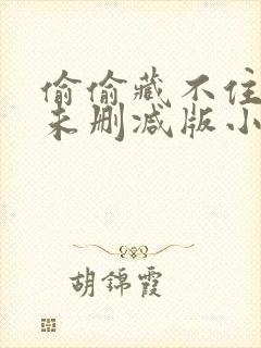 偷偷藏不住小说未删减版小说免费阅读完整版