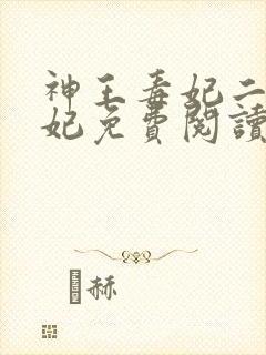 神王毒妃二嫁王妃免费阅读全文