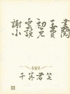 谢云初王书淮的小说免费阅读