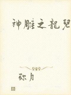 神雕之龙儿别传封面