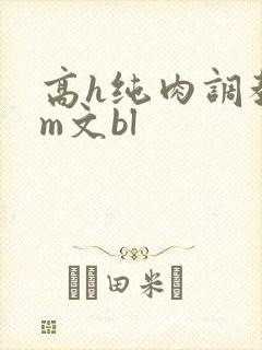 高h纯肉调教sm文bl