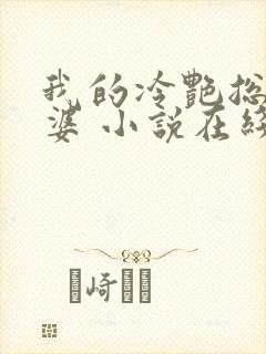 我的冷艳总裁老婆 小说在线阅读封面