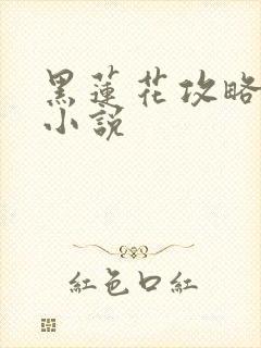 黑莲花攻略手册小说封面
