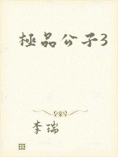 极品公子3