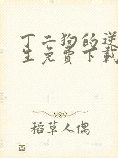 丁二狗的逆袭人生免费下载txt