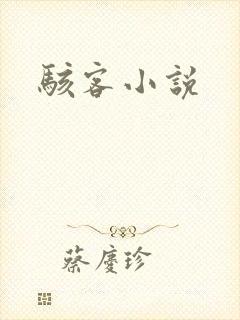 骇客小说封面