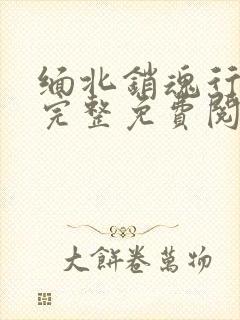 缅北销魂行小说完整免费阅读