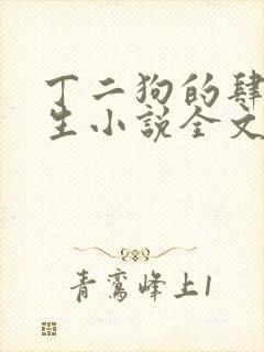 丁二狗的肆意人生小说全文听