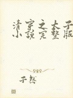 清穿之太子娇妃小说完整版封面