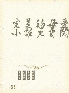 完美的母爱妈妈小说免费阅读