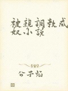 被亲调教成她的奴小说