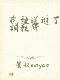 我被送进了私奴调教所
