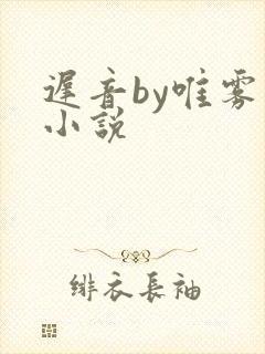 迟音by唯雾的小说