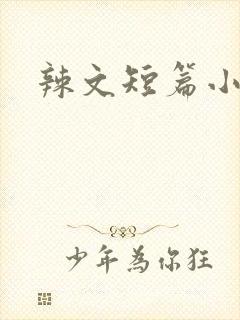 辣文短篇小说