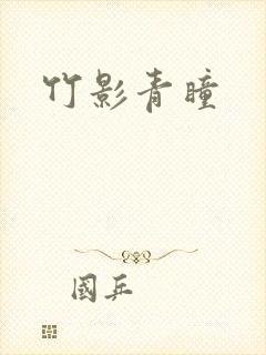 竹影青瞳封面
