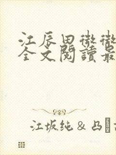 江辰田微微小说全文阅读最新章节