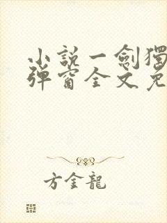 小说一剑独尊无弹窗全文免费阅读