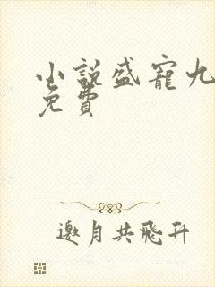 小说盛宠九皇妃免费
