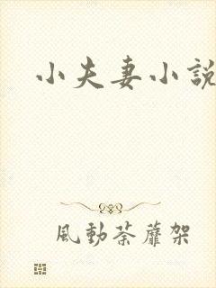小夫妻小说