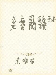 《上司的秘密》免费阅读