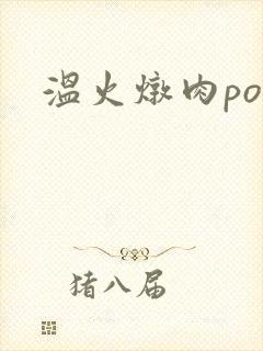 温火炖肉pop