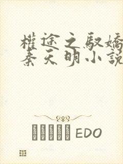 权途之驭娇有术秦天明小说全文阅读