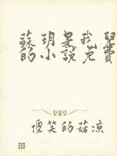 苏玥是我儿媳妇的小说免费阅读