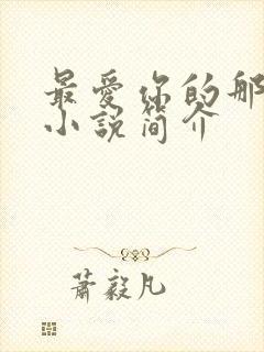 最爱你的那十年小说简介封面