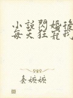 小说闪婚后大叔每天狂宠我免费阅读封面