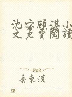 沈宓顾湛小说全文免费阅读