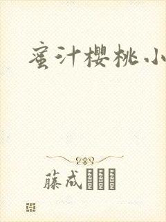 蜜汁樱桃小说