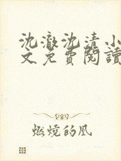 沈澈沈清小说全文免费阅读最新章节