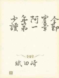 少年阿宾全文阅读第一章节房东太太