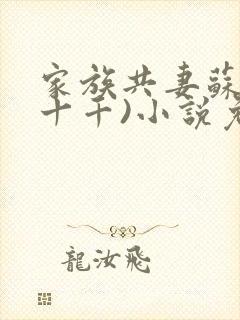 家族共妻苏苏(十千)小说免费