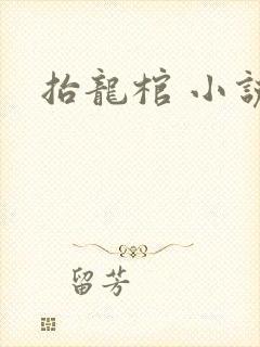 抬龙棺 小说