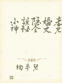小说隐婚老公太神秘全文免费阅读