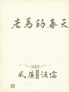 老马的春天敏静