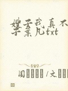 嫂子我真不是傻子叶凡txt