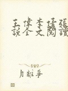 王伟李倩张浩小说全文阅读封面