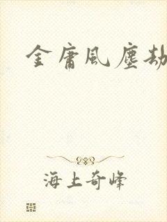 金庸风尘劫封面