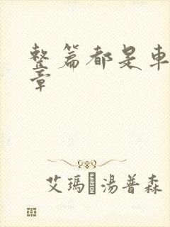 整篇都是车的文章