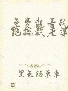 免费观看我的冷艳总裁老婆小说