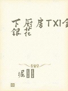 下厨房TXl金银花