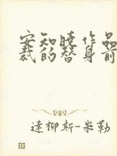 安知晓作品:总裁的替身前妻小说免费