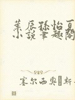 叶辰孙怡夏若雪小说笔趣阁