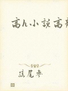 高h小说高辣文封面