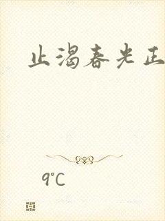 止渴春光正好封面