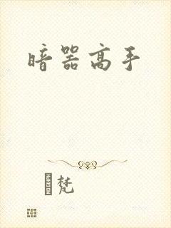 暗器高手