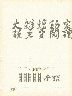 大杂烩的家庭小说免费阅读
